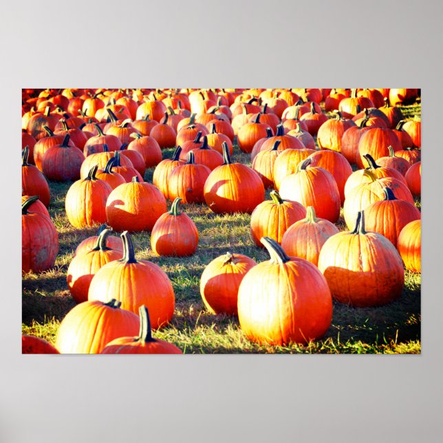 Pumpkin Patch Poster (Front)