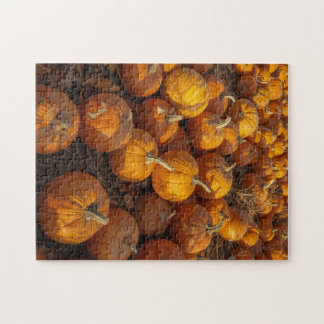 pumpkin patch puzzle