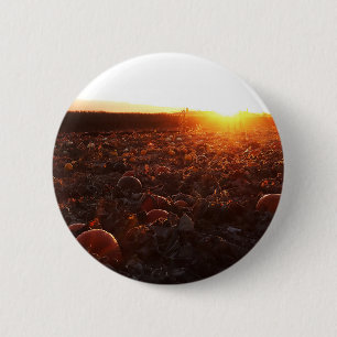 Pumpkin Patch Sunset B 6 Cm Round Badge
