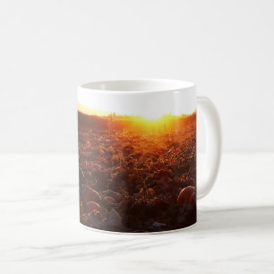 Pumpkin Patch Sunset B Coffee Mug