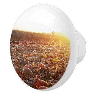 Pumpkin Patch Sunset C Ceramic Knob
