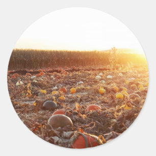 Pumpkin Patch Sunset C Classic Round Sticker