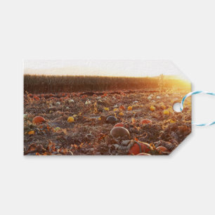 Pumpkin Patch Sunset C Gift Tags