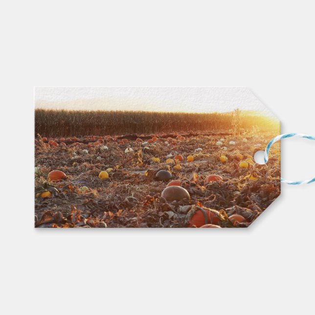 Pumpkin Patch Sunset C Gift Tags (Front (Horizontal))