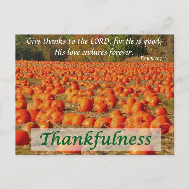 Pumpkin Patch - Thankfulness Postcard (Front)