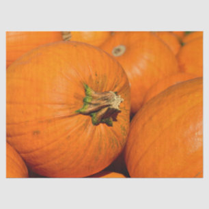 pumpkin patch tissue paper