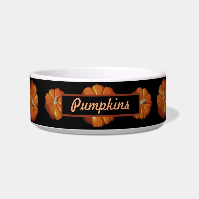 Pumpkin Pet Bowls (Front)