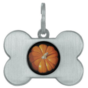 Pumpkin Pet Tags