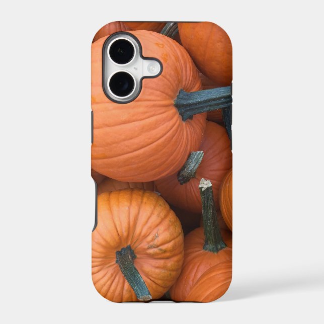 Pumpkin Pile! (Back)