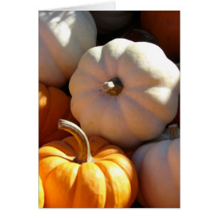 Pumpkin Pile