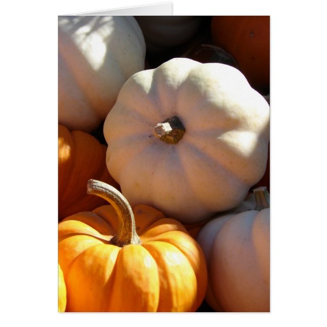 Pumpkin Pile (Front)