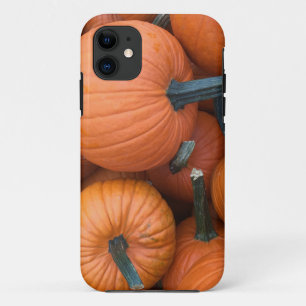 Pumpkin Pile! iPhone 11 Case