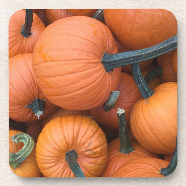 Pumpkin Pile! Coaster (Front)
