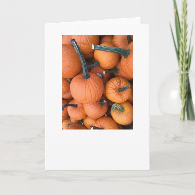 Pumpkin Pile! Holiday Card (Front)