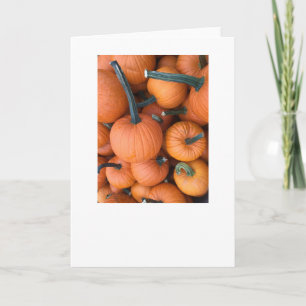 Pumpkin Pile! Holiday Card