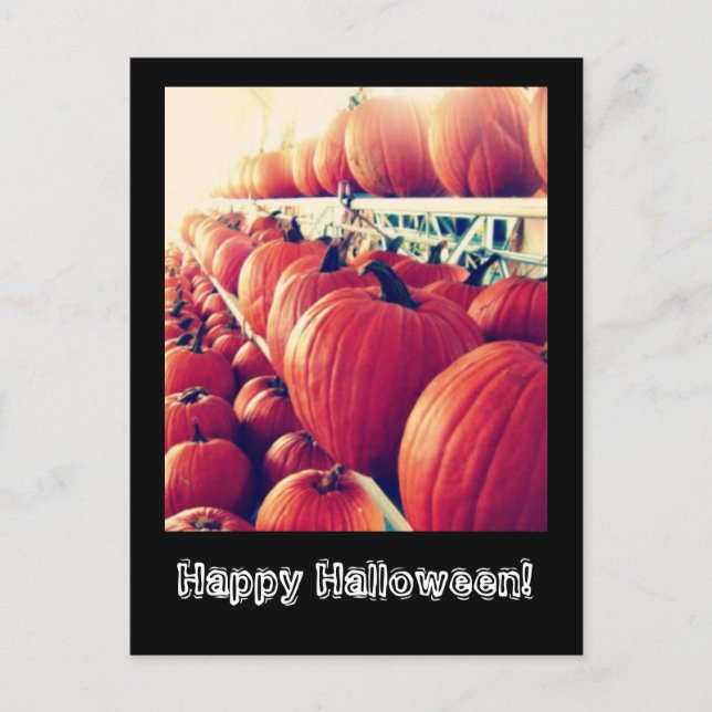 Pumpkin Postcard (Front)