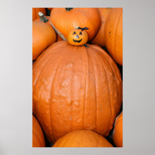 Pumpkin Poster