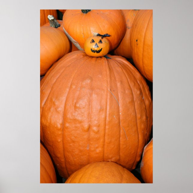 Pumpkin Poster (Front)
