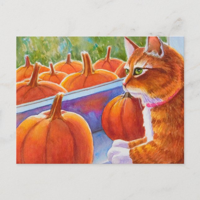 Pumpkin, Pumpkin Cat Postcard (Front)
