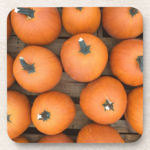 Pumpkin Rows Coaster