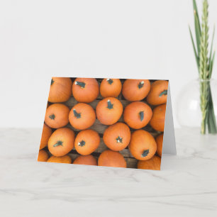 Pumpkin Rows Holiday Card