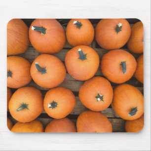 Pumpkin Rows Mouse Mat