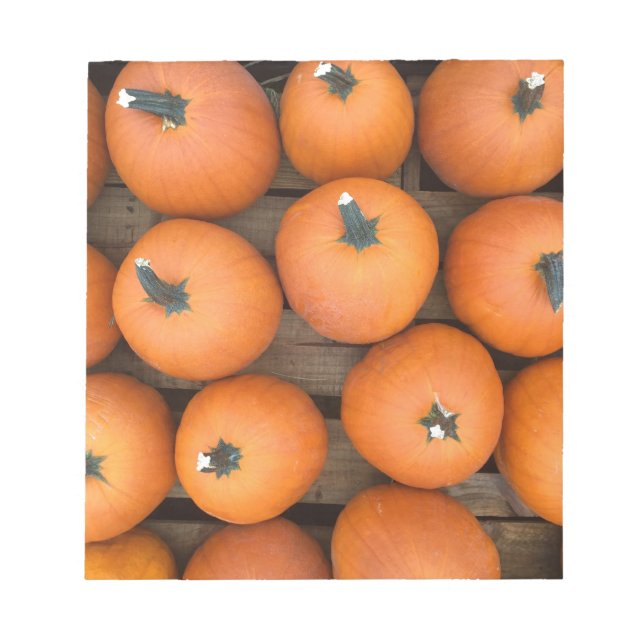 Pumpkin Rows Notepad (Front)
