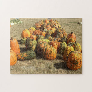 Pumpkin Sale Puzzle