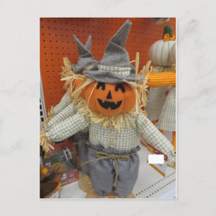 Pumpkin Scarecrow Postcard