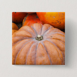 Pumpkin Season 15 Cm Square Badge