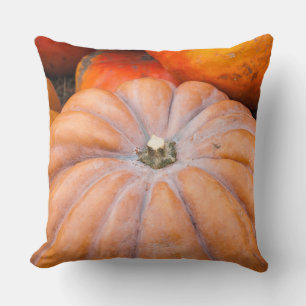Pumpkin Season Cushion