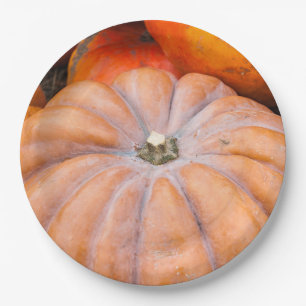 Pumpkin Season Paper Plate