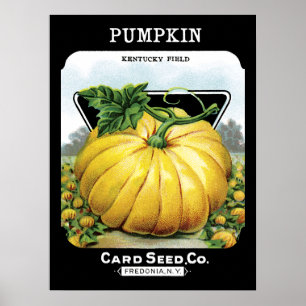 Pumpkin Seed Packet Label Poster