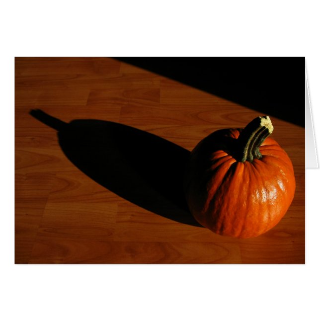 Pumpkin Shadow (Front Horizontal)