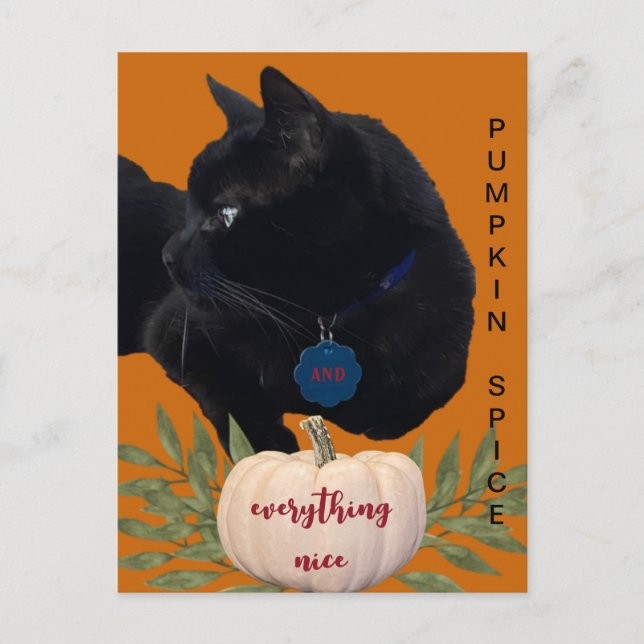 Pumpkin Spice Everything Nice Black Cat Postcard (Front)