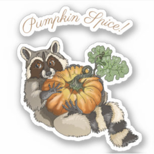 Pumpkin Spice! On a Roll Pumpkin Racoon