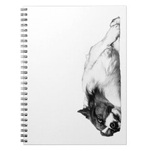 Pumpkin Spice Plans With A Corgi Notebook