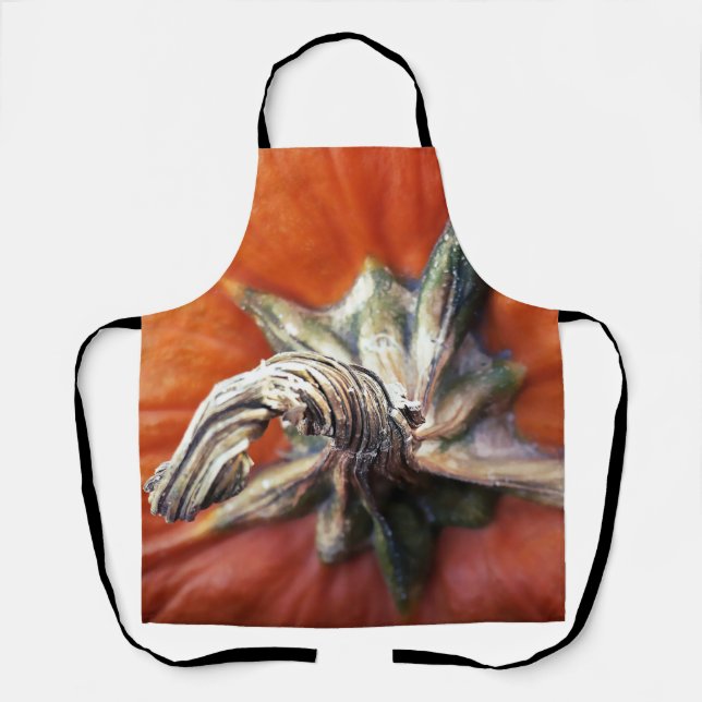 Pumpkin Spiral  Apron (Front)