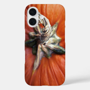 Pumpkin Spiral iPhone 16 Case