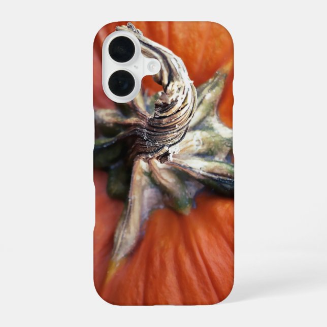 Pumpkin Spiral  iPhone 16 Case (Back)