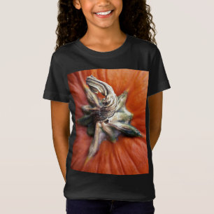 Pumpkin Spiral T-Shirt