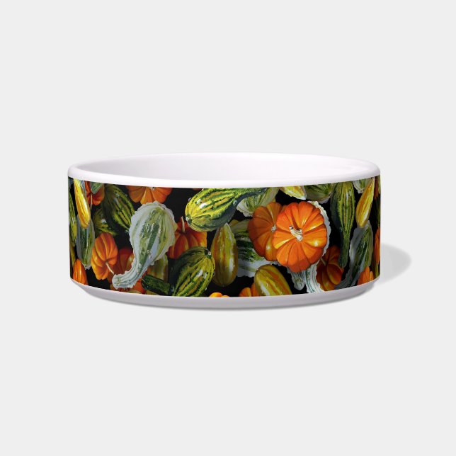 Pumpkin, Squash Autumn Harvest Pet Bowls (Front)