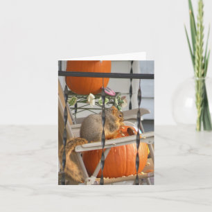 Pumpkin squirrel card