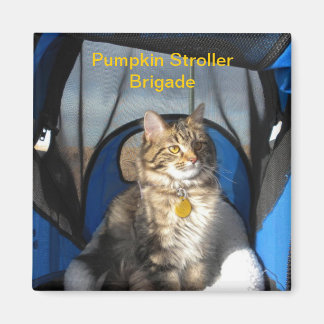 Pumpkin Stroller Brigade Magnet