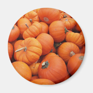 Pumpkin Time Magnet