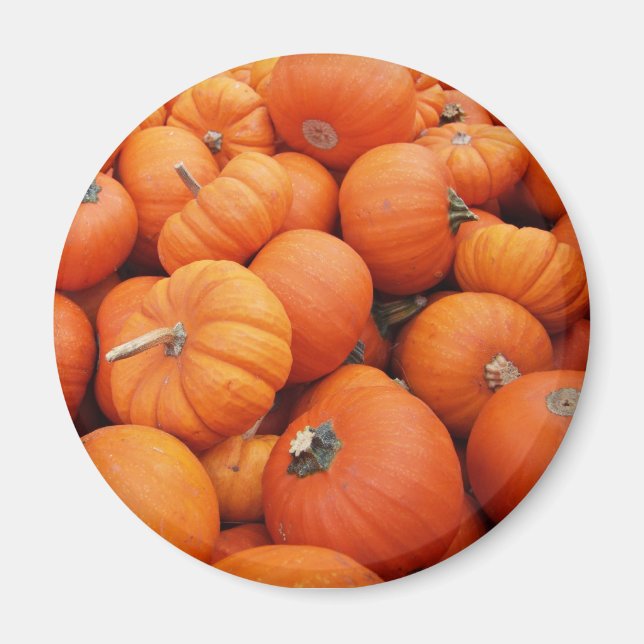 Pumpkin Time Magnet (Front)