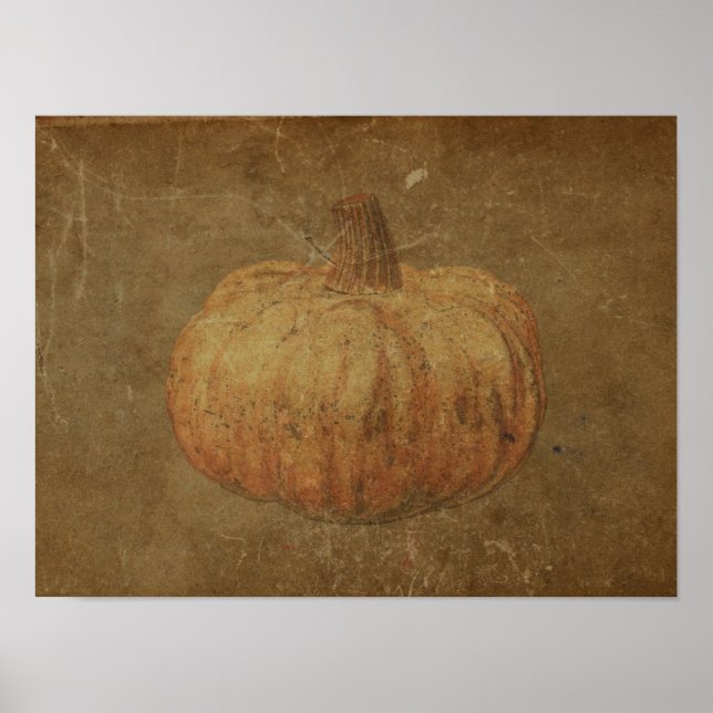 Pumpkin Vintage Antique Orange Autumn Texture Poster (Front)