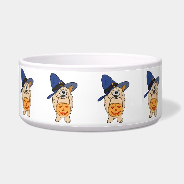 Pumpkin Witch Dog (Front)