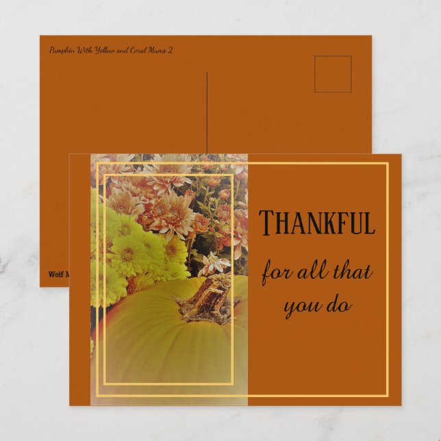 Pumpkin With Chrysanthemums 2 / Thankful Postcard (Front/Back)