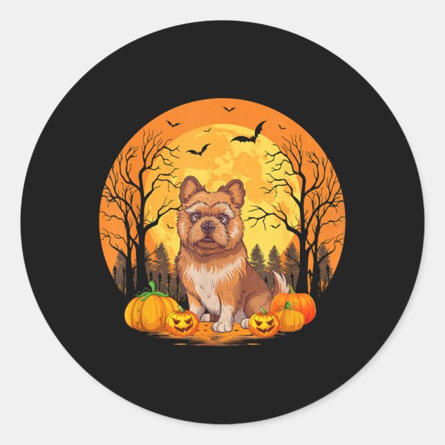 Pumpkin With Funny Halloween Costume Brussels Classic Round Sticker (Front)